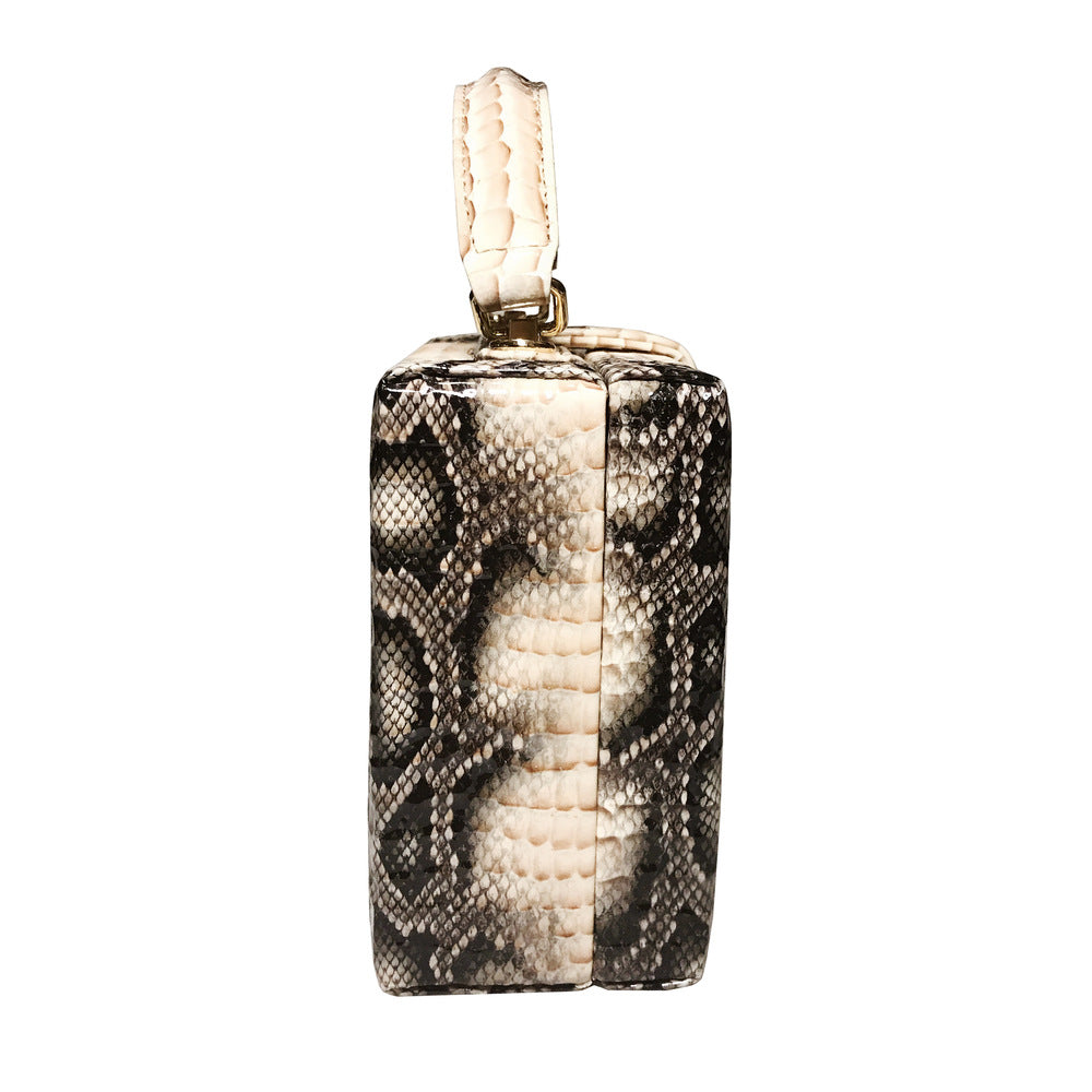 Women's Popular Python Print Leather Box Crossbody Bags