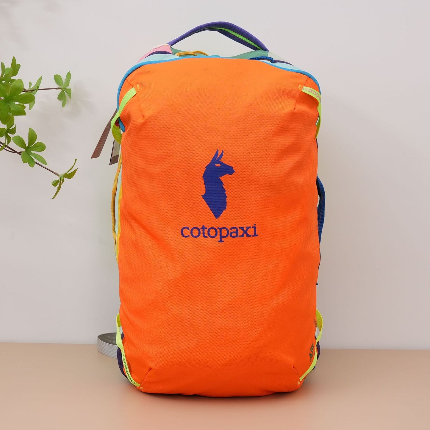 Climbing Light Walking Large Capacity Male Backpacks