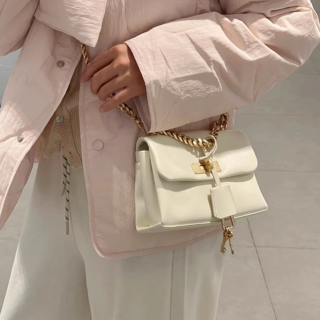 Beautiful Spring Mailman Commuter Platinum Versatile Handbags