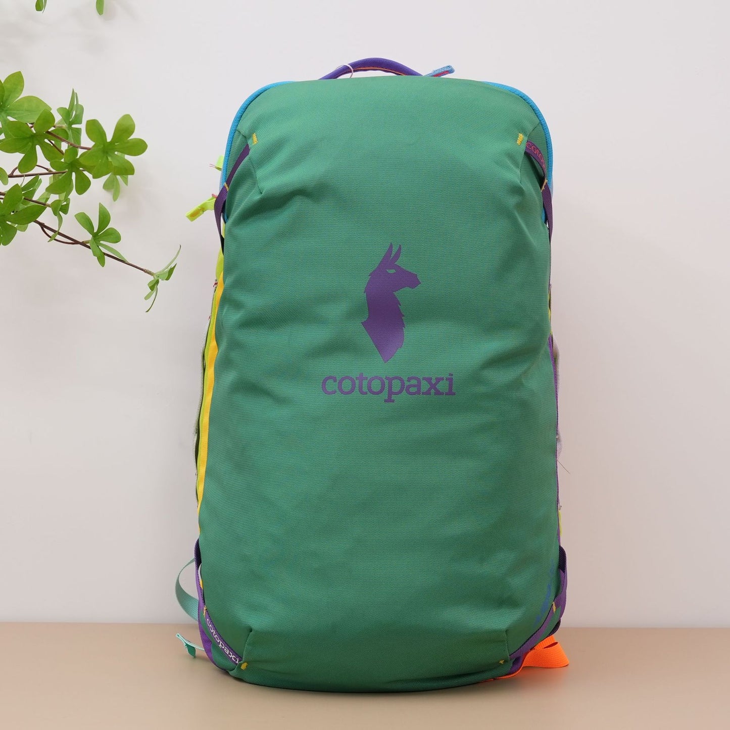 Climbing Light Walking Large Capacity Male Backpacks