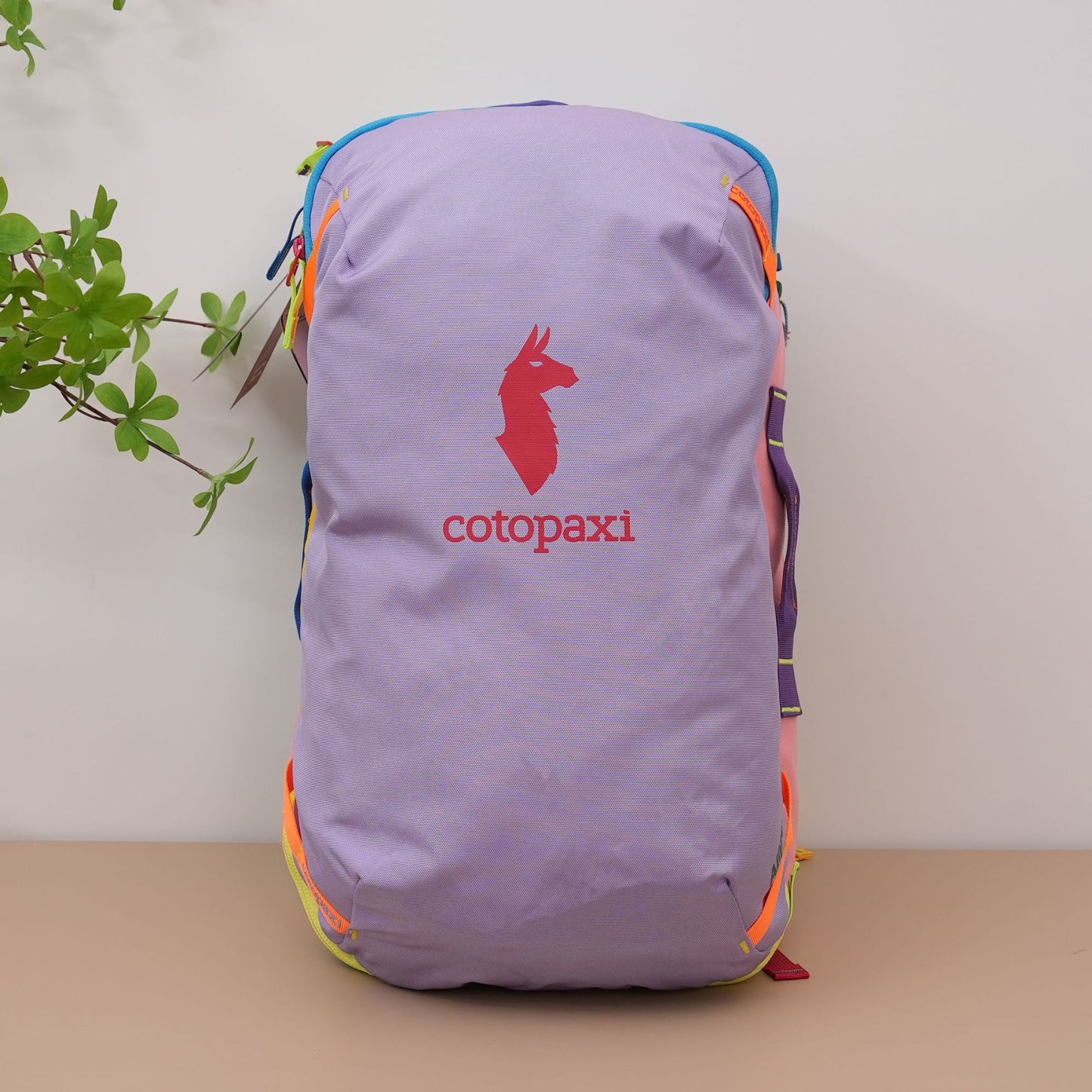 Climbing Light Walking Large Capacity Male Backpacks