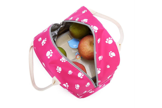 Pretty Female Cute Printed Computer Lunch Backpacks