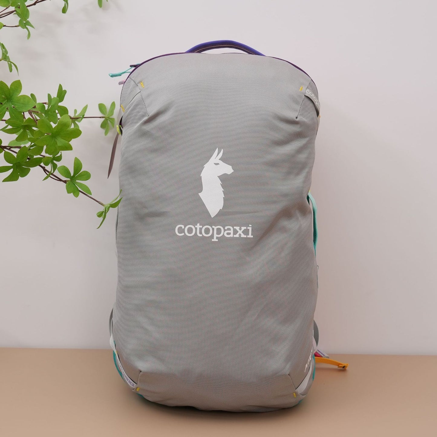 Climbing Light Walking Large Capacity Male Backpacks