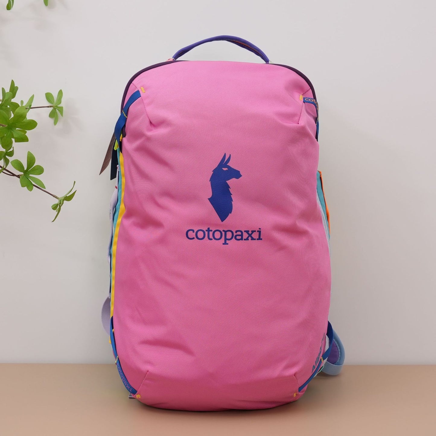 Climbing Light Walking Large Capacity Male Backpacks