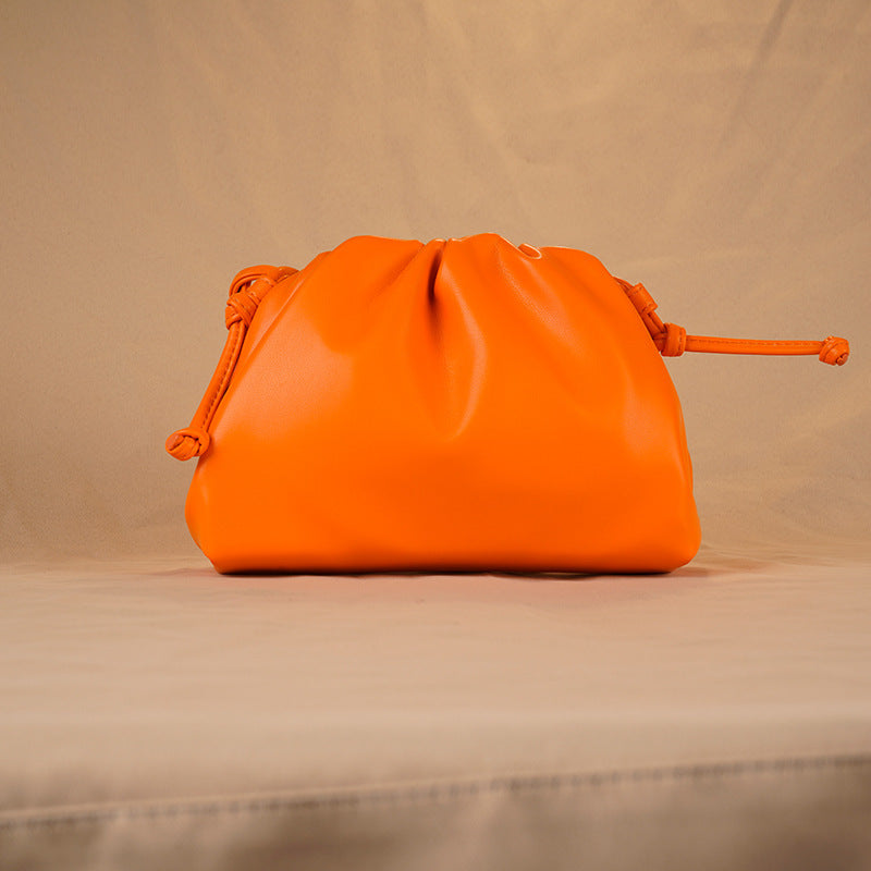 Female French Minority Dumpling Tide Genuine Bags