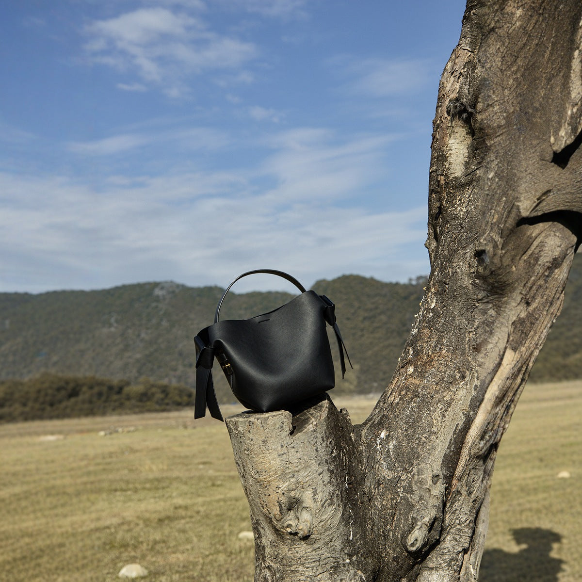 Women's Swedish Niche Genuine Leather Simple Bow Handbags