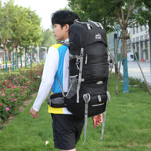 Large Capacity With Stand Bearing System Mountaineering Backpacks