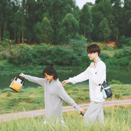 Classic Attractive New Beautiful Mini Couple Crossbody Bags