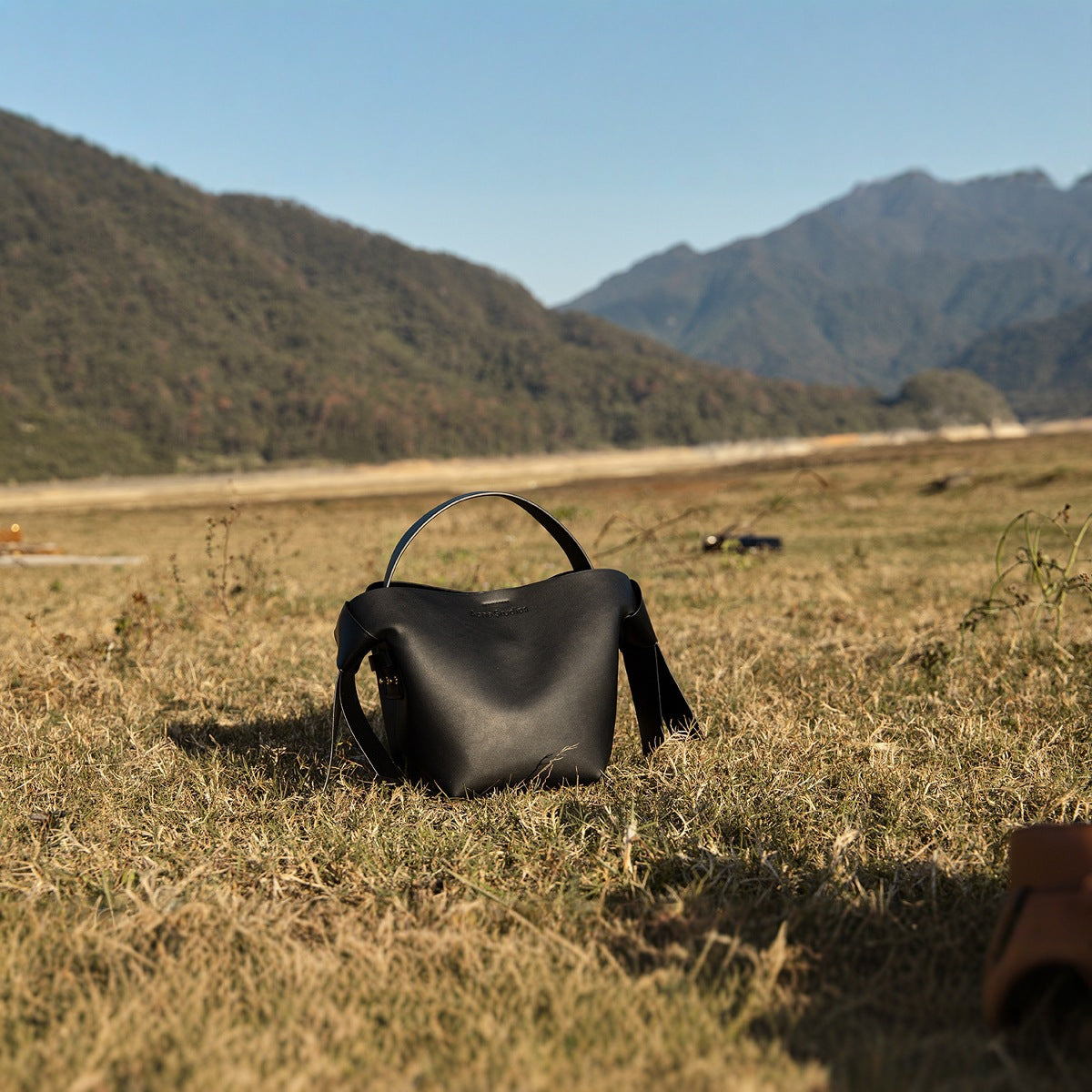 Women's Swedish Niche Genuine Leather Simple Bow Handbags